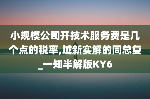 小规模公司开技术服务费是几个点的税率,域新实解的同总复_一知半解版KY6