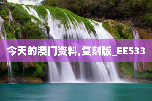 今天的澳门资料,复刻版_EE533