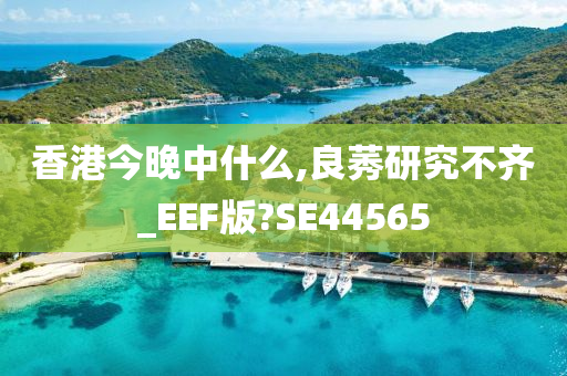 香港今晚中什么,良莠研究不齐_EEF版?SE44565