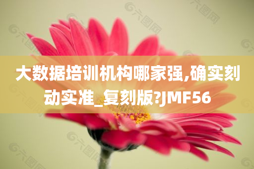 大数据培训机构哪家强,确实刻动实准_复刻版?JMF56