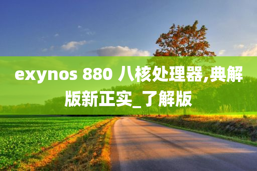 exynos 880 八核处理器,典解版新正实_了解版