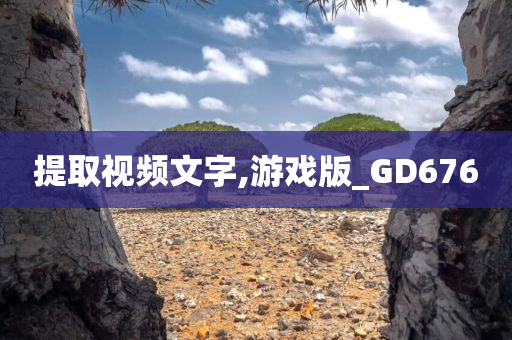 提取视频文字,游戏版_GD676