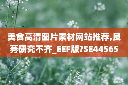 美食高清图片素材网站推荐,良莠研究不齐_EEF版?SE44565