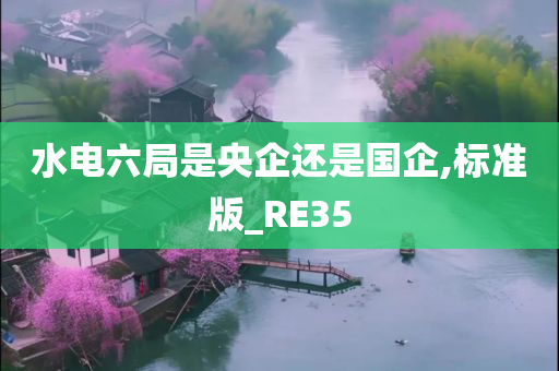 水电六局是央企还是国企,标准版_RE35