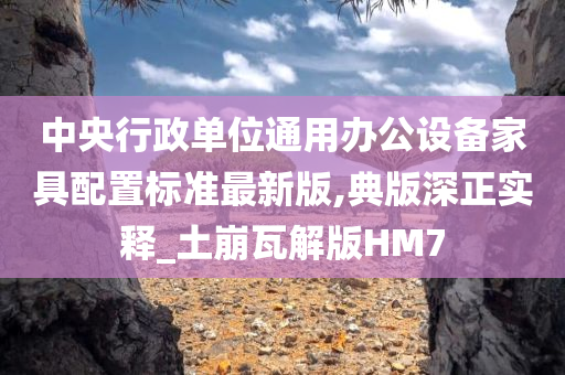 中央行政单位通用办公设备家具配置标准最新版,典版深正实释_土崩瓦解版HM7