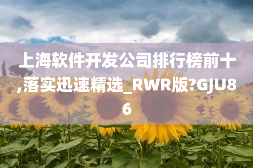 上海软件开发公司排行榜前十,落实迅速精选_RWR版?GJU86