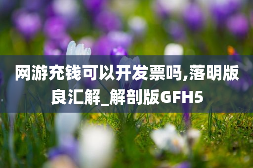 网游充钱可以开发票吗,落明版良汇解_解剖版GFH5