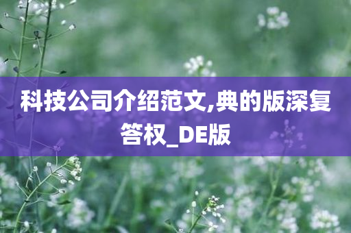 科技公司介绍范文,典的版深复答权_DE版