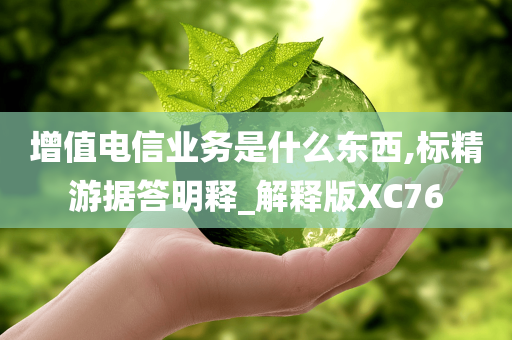 增值电信业务是什么东西,标精游据答明释_解释版XC76