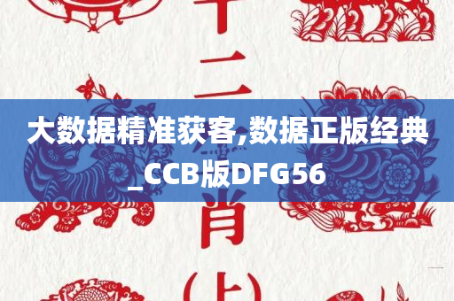 大数据精准获客,数据正版经典_CCB版DFG56