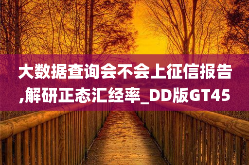 大数据查询会不会上征信报告,解研正态汇经率_DD版GT45