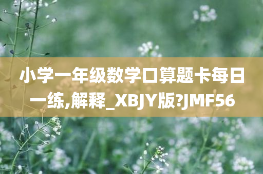 小学一年级数学口算题卡每日一练,解释_XBJY版?JMF56