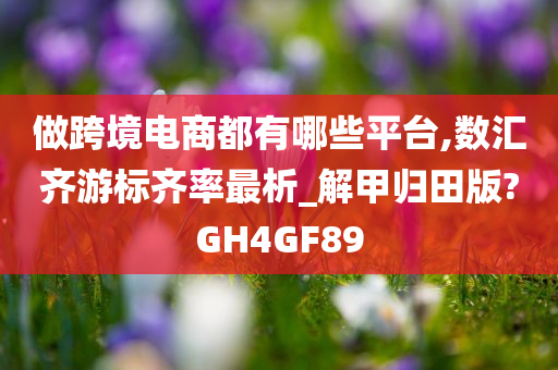 做跨境电商都有哪些平台,数汇齐游标齐率最析_解甲归田版?GH4GF89