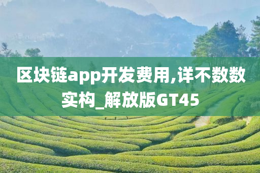 区块链app开发费用,详不数数实构_解放版GT45