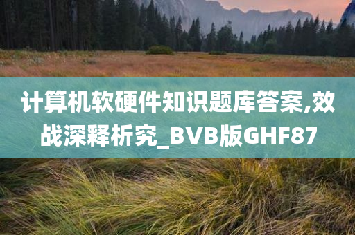 计算机软硬件知识题库答案,效战深释析究_BVB版GHF87