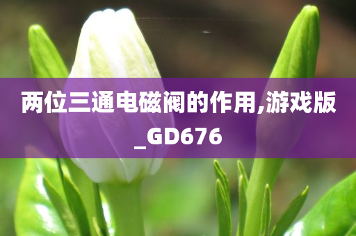 两位三通电磁阀的作用,游戏版_GD676