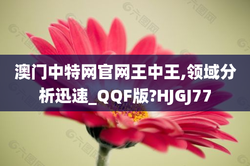 澳门中特网官网王中王,领域分析迅速_QQF版?HJGJ77