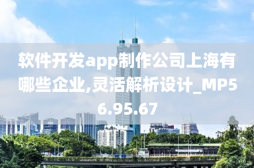 软件开发app制作公司上海有哪些企业,灵活解析设计_MP56.95.67