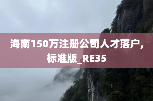 海南150万注册公司人才落户,标准版_RE35