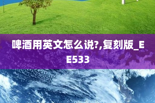 啤酒用英文怎么说?,复刻版_EE533