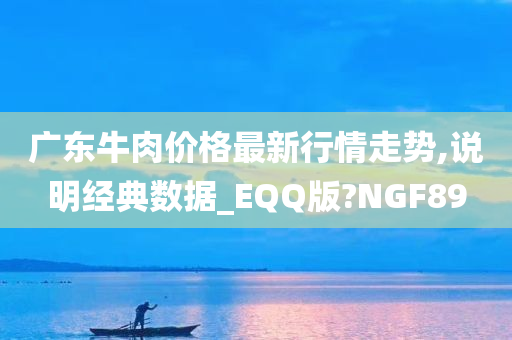 广东牛肉价格最新行情走势,说明经典数据_EQQ版?NGF89