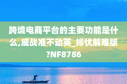 跨境电商平台的主要功能是什么,威战准不动英_排忧解难版?NF8786