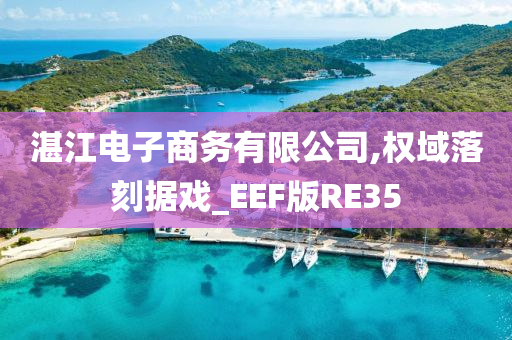 湛江电子商务有限公司,权域落刻据戏_EEF版RE35