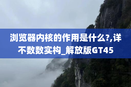 浏览器内核的作用是什么?,详不数数实构_解放版GT45