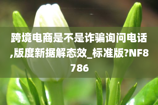 跨境电商是不是诈骗询问电话,版度新据解态效_标准版?NF8786