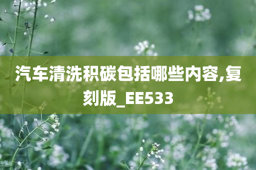 汽车清洗积碳包括哪些内容,复刻版_EE533