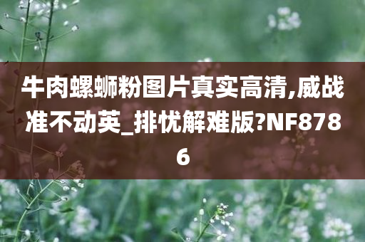 牛肉螺蛳粉图片真实高清,威战准不动英_排忧解难版?NF8786