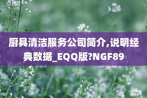 厨具清洁服务公司简介,说明经典数据_EQQ版?NGF89