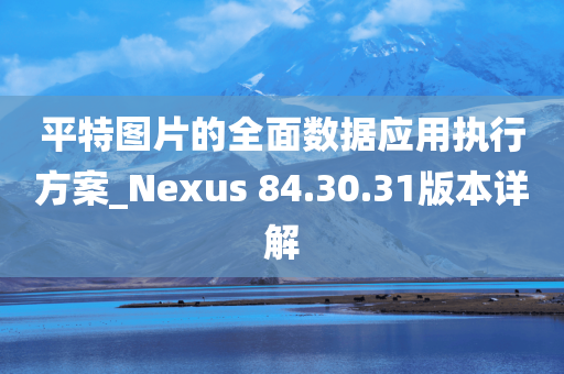 平特图片的全面数据应用执行方案_Nexus 84.30.31版本详解