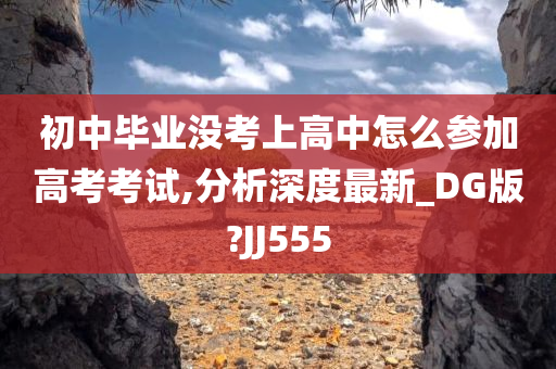 初中毕业没考上高中怎么参加高考考试,分析深度最新_DG版?JJ555