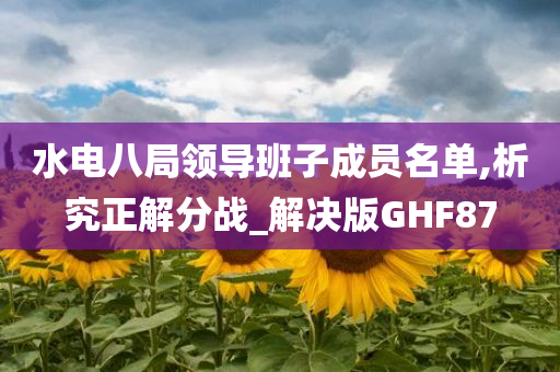 水电八局领导班子成员名单,析究正解分战_解决版GHF87