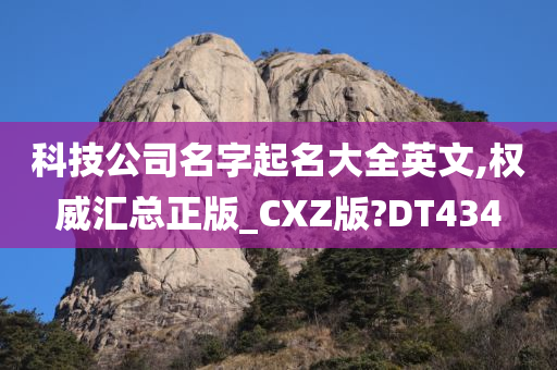 科技公司名字起名大全英文,权威汇总正版_CXZ版?DT434