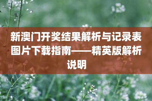 新澳门开奖结果解析与记录表图片下载指南——精英版解析说明