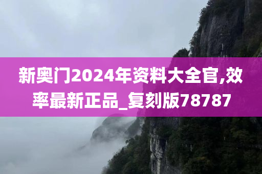 新奥门2024年资料大全官,效率最新正品_复刻版78787