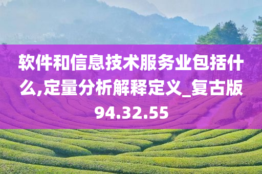 软件和信息技术服务业包括什么,定量分析解释定义_复古版94.32.55