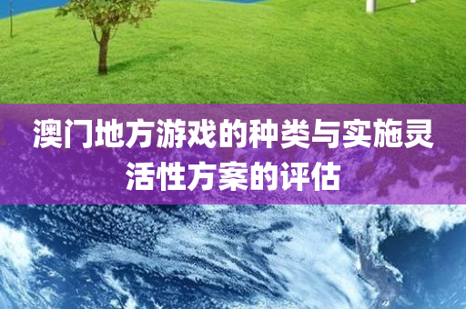 澳门地方游戏的种类与实施灵活性方案的评估