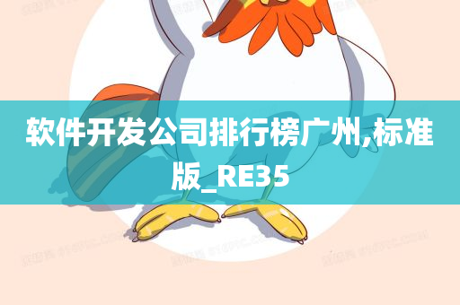 软件开发公司排行榜广州,标准版_RE35