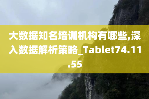 大数据知名培训机构有哪些,深入数据解析策略_Tablet74.11.55