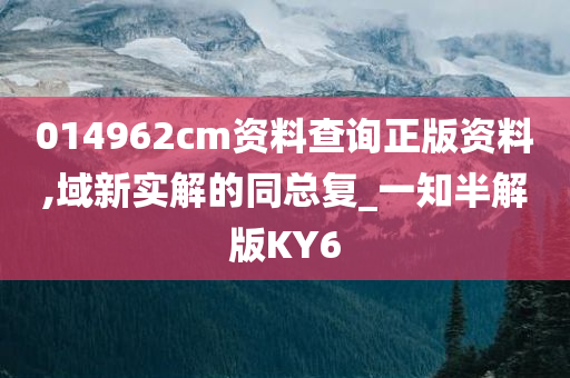 014962cm资料查询正版资料,域新实解的同总复_一知半解版KY6