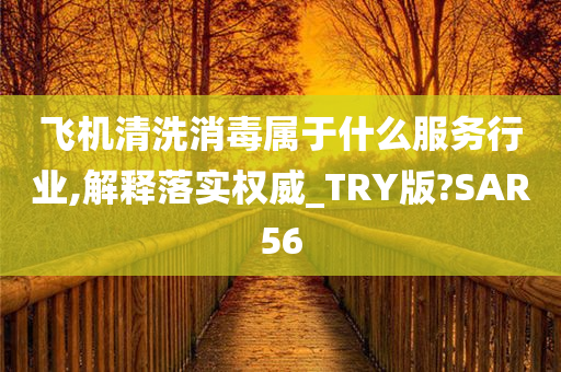 飞机清洗消毒属于什么服务行业,解释落实权威_TRY版?SAR56