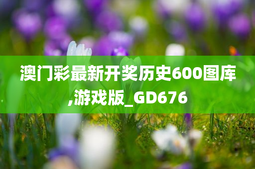 澳门彩最新开奖历史600图库,游戏版_GD676