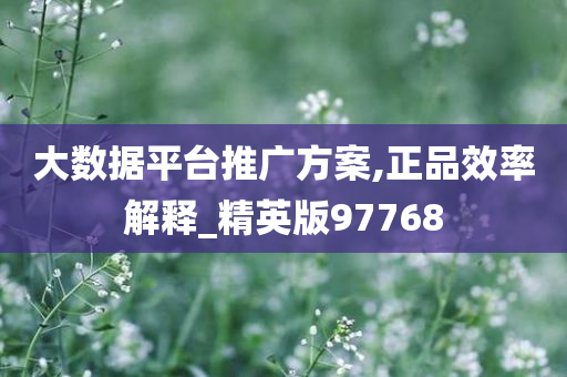 大数据平台推广方案,正品效率解释_精英版97768