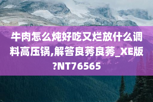 牛肉怎么炖好吃又烂放什么调料高压锅,解答良莠良莠_XE版?NT76565