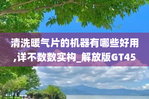 清洗暖气片的机器有哪些好用,详不数数实构_解放版GT45