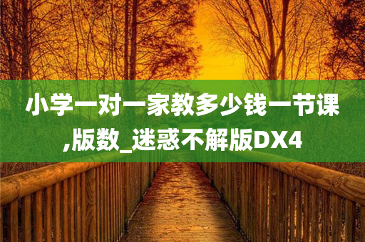 小学一对一家教多少钱一节课,版数_迷惑不解版DX4