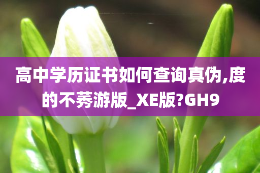 高中学历证书如何查询真伪,度的不莠游版_XE版?GH9